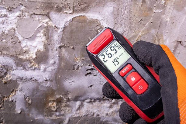 Best Attic Mold Remediation in Eastman, GA