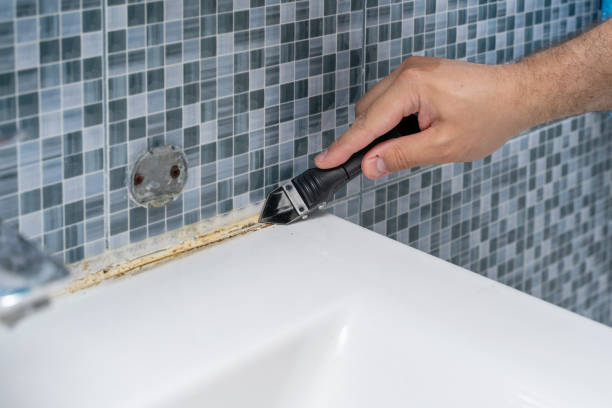 Best Commercial Mold Remediation in Eastman, GA