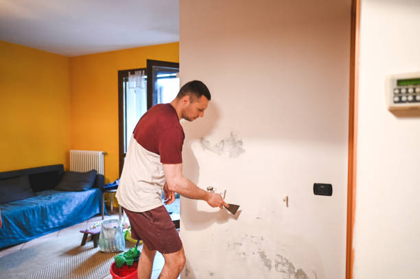 Reliable Eastman, GA Mold Remediation Solutions