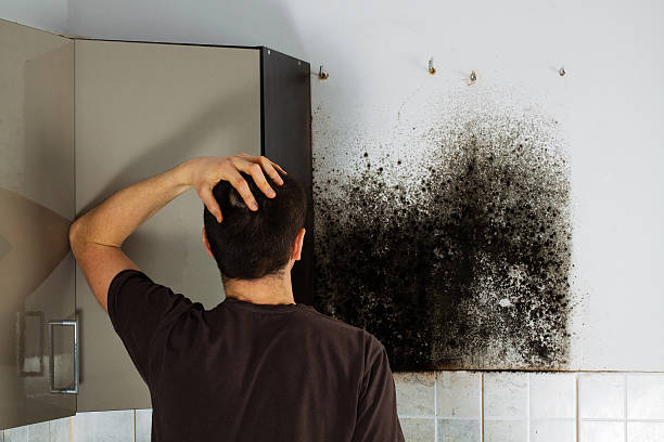 Best HVAC Mold Remediation in Eastman, GA